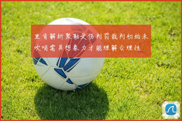 里肯解析聚勒受伤判罚裁判初始未吹哨需具想象力才能理解合理性