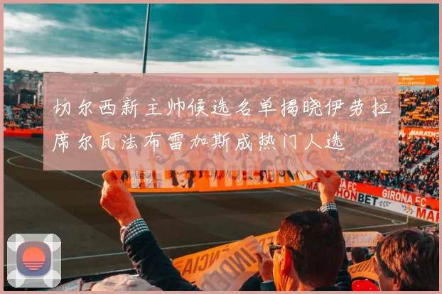切尔西新主帅候选名单揭晓伊劳拉席尔瓦法布雷加斯成热门人选
