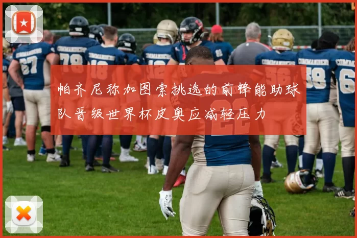 帕齐尼称加图索挑选的前锋能助球队晋级世界杯皮奥应减轻压力